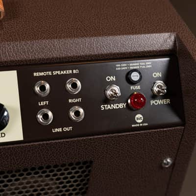Magnatone Panoramic Stereo 2X10 Combo Amplifier - Traditional Brown image 7