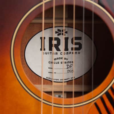Iris  DF Flat Top Acoustic Guitar, ser. #268, black tolex hard shell case. image 12