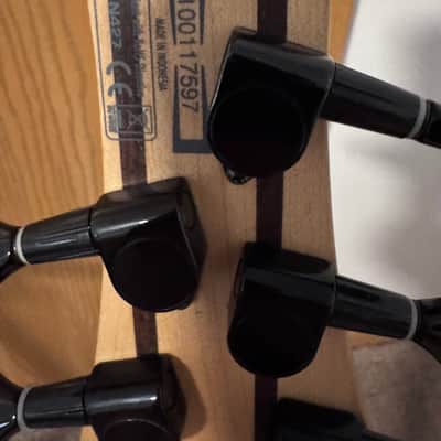 Ibanez 5 string bass SR305M Aguilar pickups/Audere preamp image 18