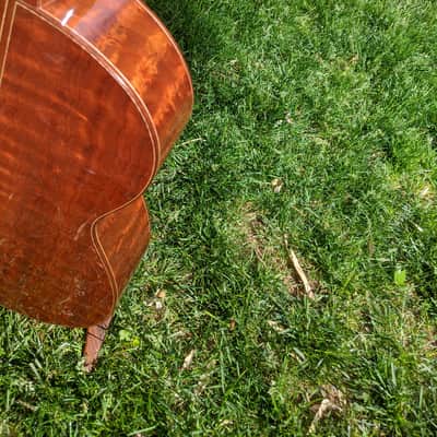 2019 The Tree Sexauer FT-000-C German Top Multi-Scale Fanfret Hot Hide Glue Varnish #2870219 image 17