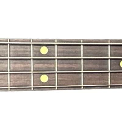 Lakland Skyline 44-OS, Trans Black / Rosewood FLOOR DEMO *IN STOCK* As New Condition image 7