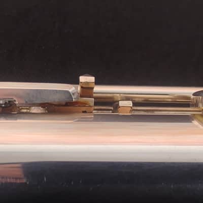 Muramatsu EX image 19