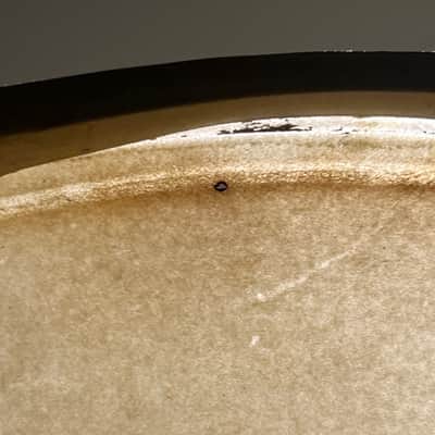 Slingerland Genuine Calf Skin 22" Bass Drum Head (RM3) image 4