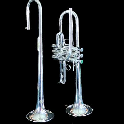 BERKELEY Raw Brass STD Eb/D Trumpet w/ Extra Silver D Bell 2019ish - SILVER PLATED image 17