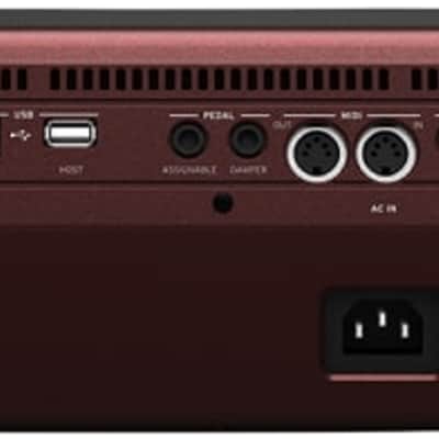 Korg PA1000 61-Key Professional Arranger Keyboard, Wine Red image 4