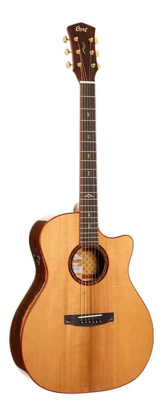 Cort Gold-A10 Cocobolo Natural Gloss w/Case (B Stock) image 1