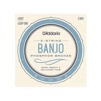 D'Addario EJ69 Phosphor Bronze 5-String Banjo Strings, Light, 9-20 image 1