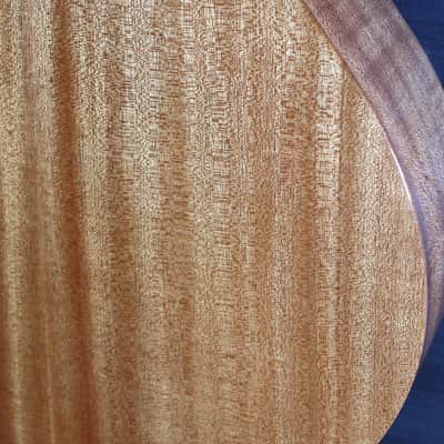 Taylor 314ce Studio SEB Sapele / Torrified Spruce Acoustic-Electric Guitar image 12