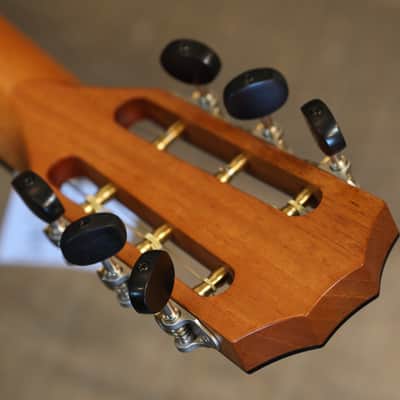 Unplayed! 2018 Taylor 712ce 12 Fret Limited Edition Torrified Spruce Blackwood Acoustic Guitar Natural + OHSC image 20