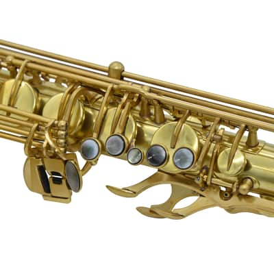 L.A. Ripamonti 5040VFRNAT-VI Sax Tenore image 5