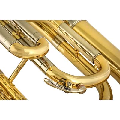 Chicago Winds CC-BH4100L Baritone Horn image 5