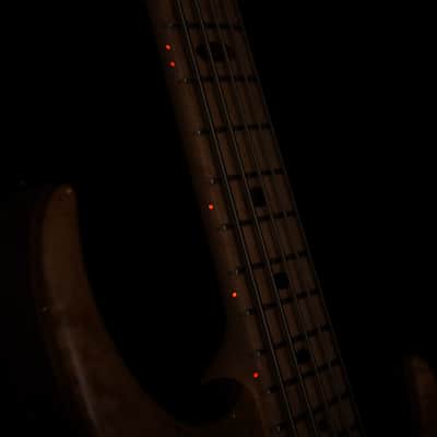 Alembic Europa 5-String Long-Scale w/Red Side LEDs, Birds Eye Maple Fingerboard, Walnut Core, & Walnut Backplates (Serial #U14695) image 8