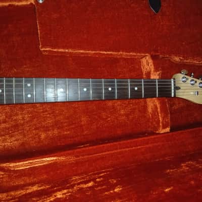 Partscaster Teletype 2019 - Custom mr horsepower image 2