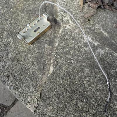 Immagine Gibson PAF PICKUP 1960 - 3