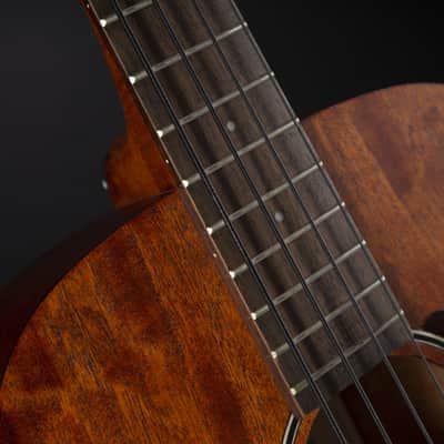 Ibanez PCBE 12 MH OPN Open Pore Natural - Acoustic Bass image 10