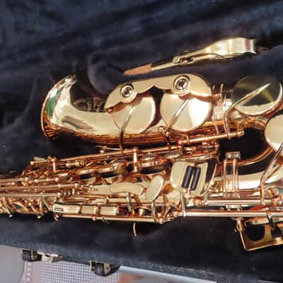 CANNONBALL SCEPTYR ALTO SAXOPHONE-STUNNING -FRESH PRO OVERHAUL, MUST SEE+ 1 Yr WTY image 6