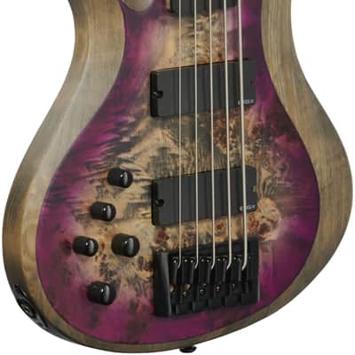 Schecter Riot 5 Electric Bass, Left-Handed (5-String), Satin Aurora Burst image 4