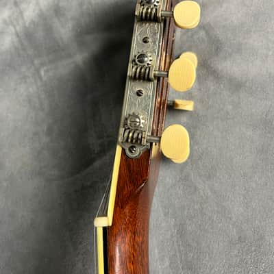 Larson Bros Stahl Style 8 Amazing! Brazilian Rosewood 1929 image 14