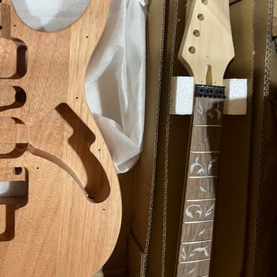 Open Box Leo Jaymz S V Style Electric Guitar DIY Project Kit Leo Jaymz image 3