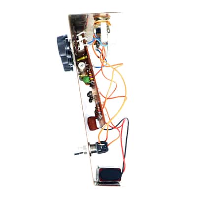 Guild Foxey Lady “EHX Rams Head White Can” image 5