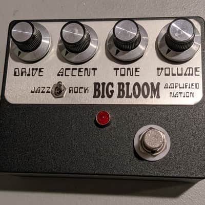 Amplified Nation Big Bloom image 1