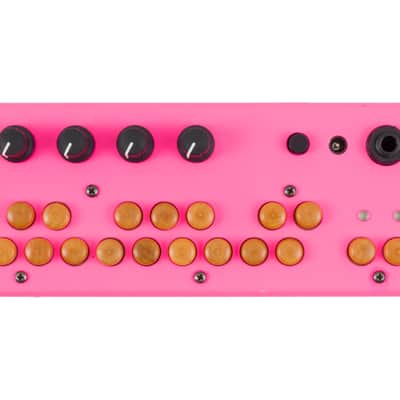 Critter & Guitari Bolsa Bass Portable bass Synthesizer [USED] image 1