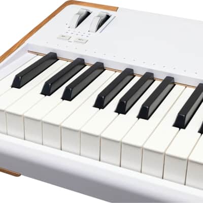 Arturia AstroLab 88-Key Stage Keyboard, White image 3