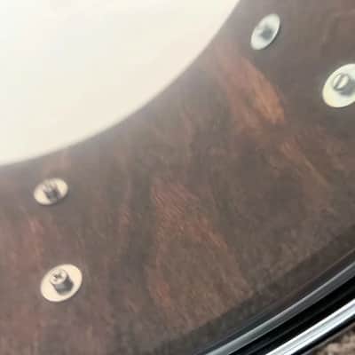 MINT - Daville (Doc Sweeney) 5.75x14 Caribbean Rosewood 8 lug stave, Canopus and extra wires image 7