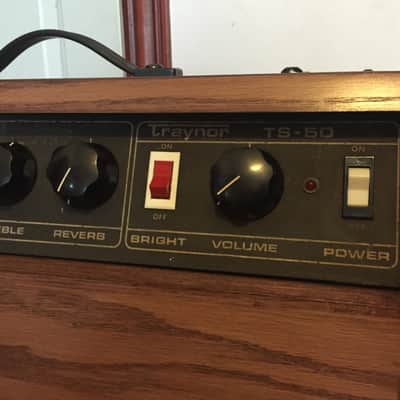 Traynor TS-50 Vintage Amplifier Head in Custom Cab image 2