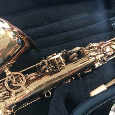 Antigua Winds ProOne Professional Eb Alto Saxophone - Lacquer image 5