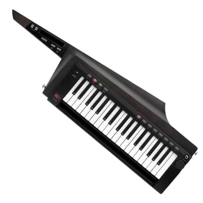 Korg RK-100S2 Black image 2