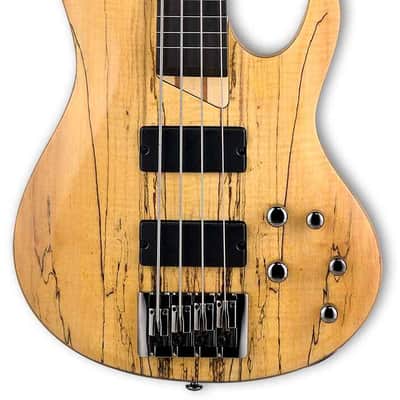 LTD LB204SMFLNS B-204SM FRETLESS Natural Satin NATURAL image 1