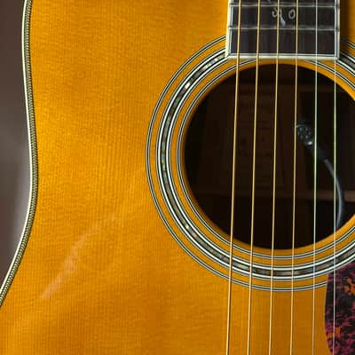 Martin Trey Anastasio Signature Edition DC Fishman Ellipse image 4