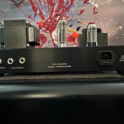 Aum Aocustics OEM Guitar Amp Guitar (EF86, 12AX7, EL34 or genre tubes, Muallard GZ34 rectifier) 2026 - Black Anodized CNC 1/8" Chassis image 3