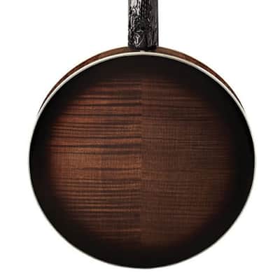 Washburn Americana Series B17K-D 5 String Banjo Sunburst image 3