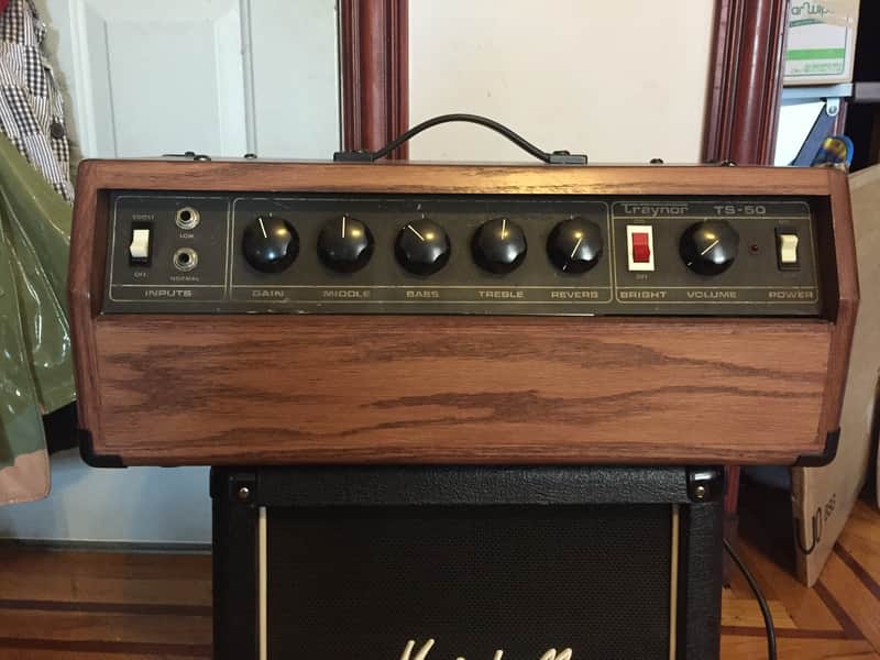 Traynor TS-50 Vintage Amplifier Head in Custom Cab image 1
