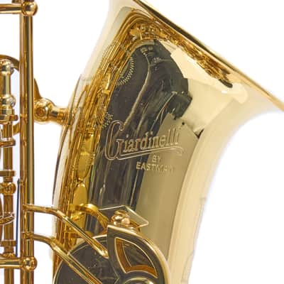 Giardinelli by Eastman GAS10 Alto Saxophone in Gold Lacquer SN 11533980 image 2