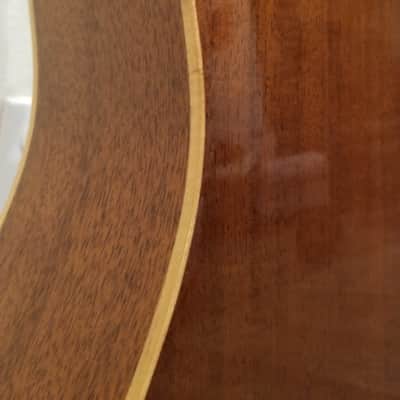 Immagine Hohner HG-905 - 12