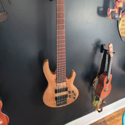 ESP LTD B-206 2025 - Natural image 1