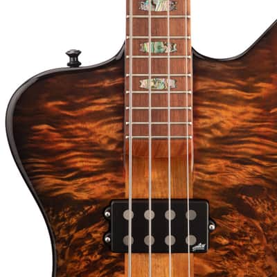 Spector X Series USA Custom NS-4X Bass Guitar - Ale's Inferno - #022 image 4