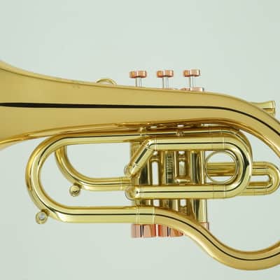 CarolBrass Phat Puppy Pocket Flugelhorn image 5