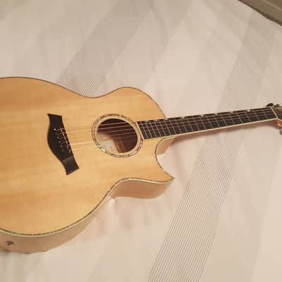 Taylor DDSM (Doyle Dykes Signature Model) image 10