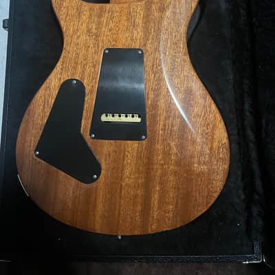 Paul Reed Smith Custom 24 semi-hollow 2014 aqua bleux image 5