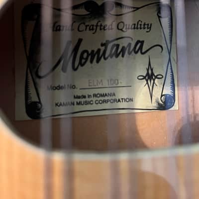 Montana ELM 100 A-Style Mandolin by Kaman Music Corporation — Made in Romania — w/ Hard Case image 3