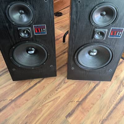 DCM KX-12 - Pair - 12” Woofer Speakers, 250 Watts Per Speaker image 1