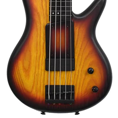 Ibanez Bass GWB205-TQF Gary Willis Fretless 5 image 2