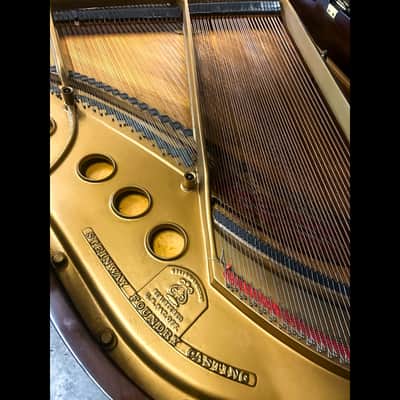 Steinway & Sons Model M Grand Piano – Golden Age image 9