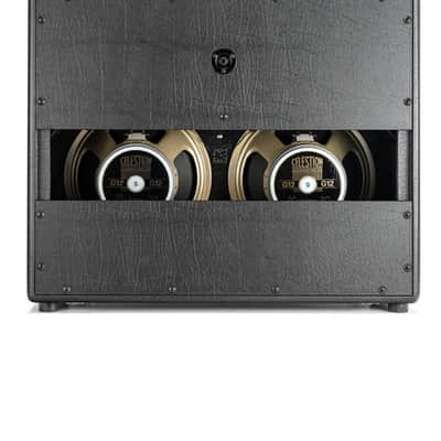 Bad Cat Hot Cat 2x12 Extension Cabinet image 3