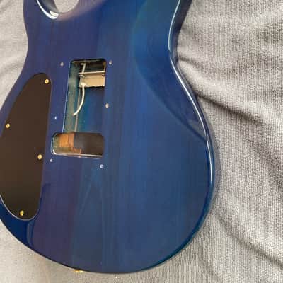 Warmoth VIP Mahogany Body Floyd Ready image 7
