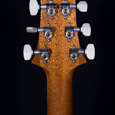 PRS Modern Eagle V, Yellow Tiger image 10